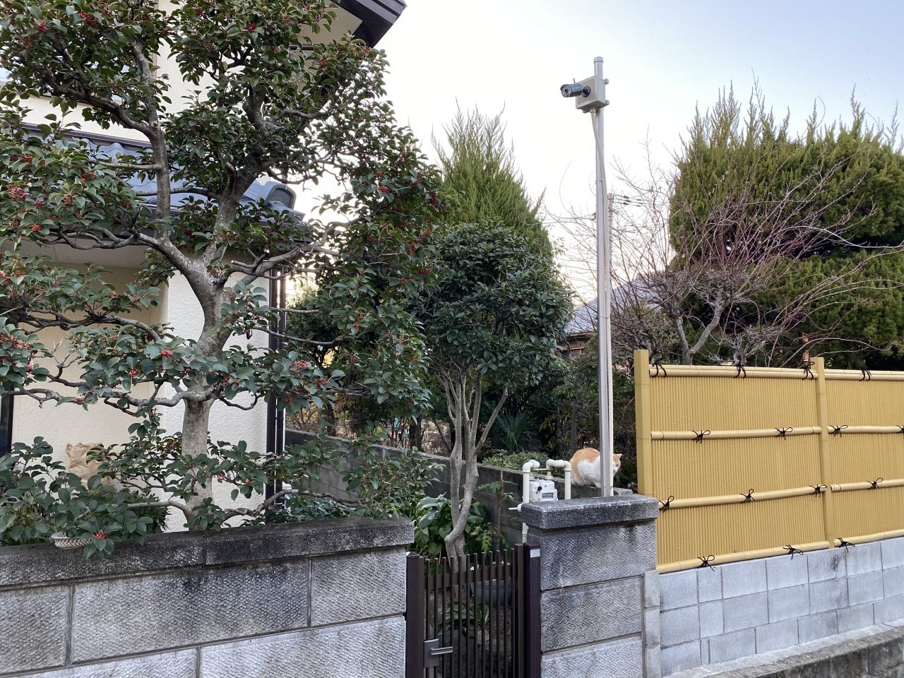 施工後写真 (2)