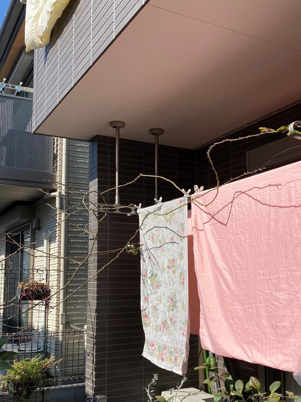 現調写真 (1)